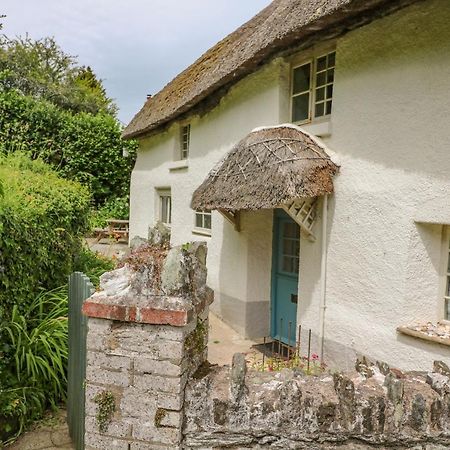 Elworthy Cottage Salcombe Kültér fotó